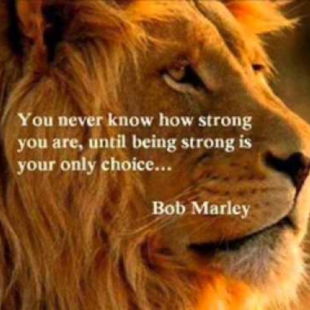 I share a space with cat.  She is very clean.